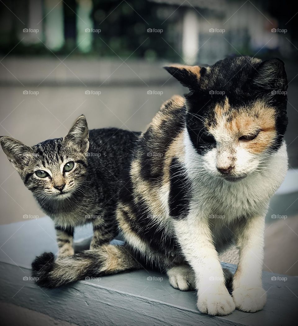 Mother and daughter. 