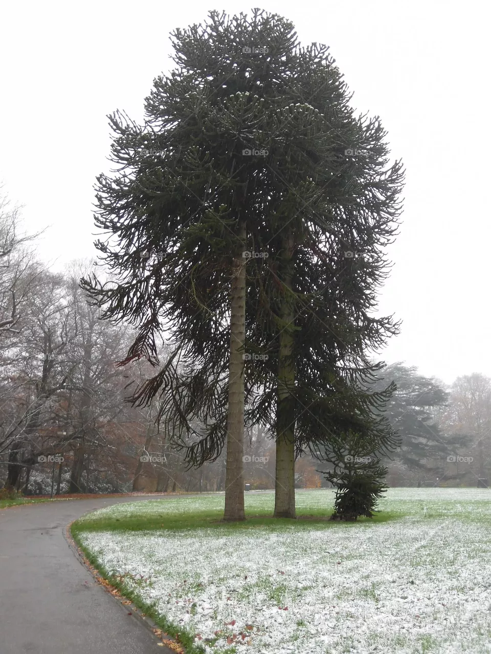 Parc de Mariemont , la Louvière