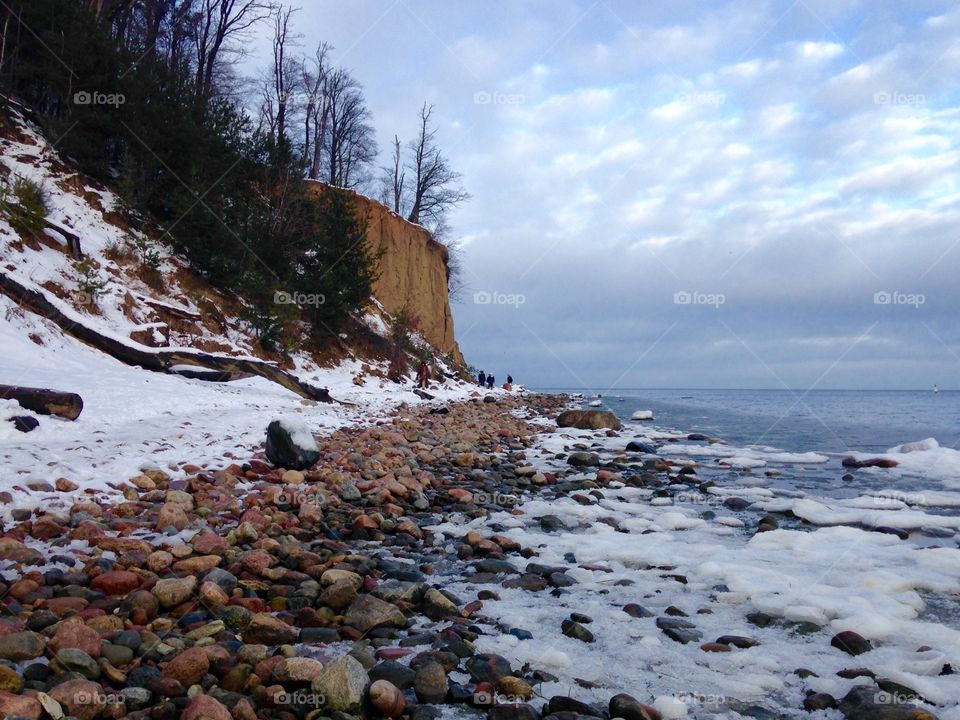 Winter landscape 