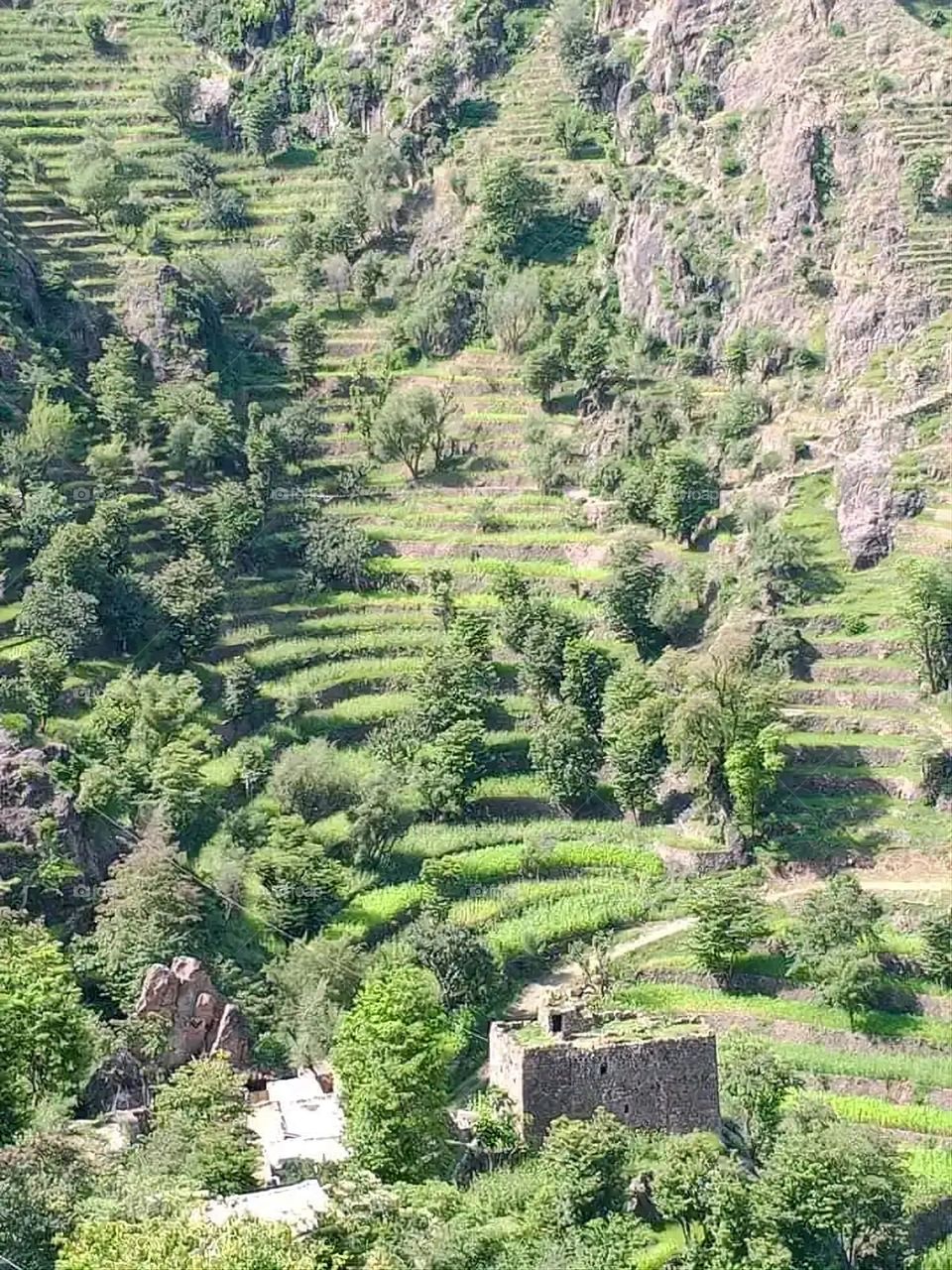 Glory be to God, the magnificent and picturesque view and the natural green trees are a view that is nothing more wonderful than it