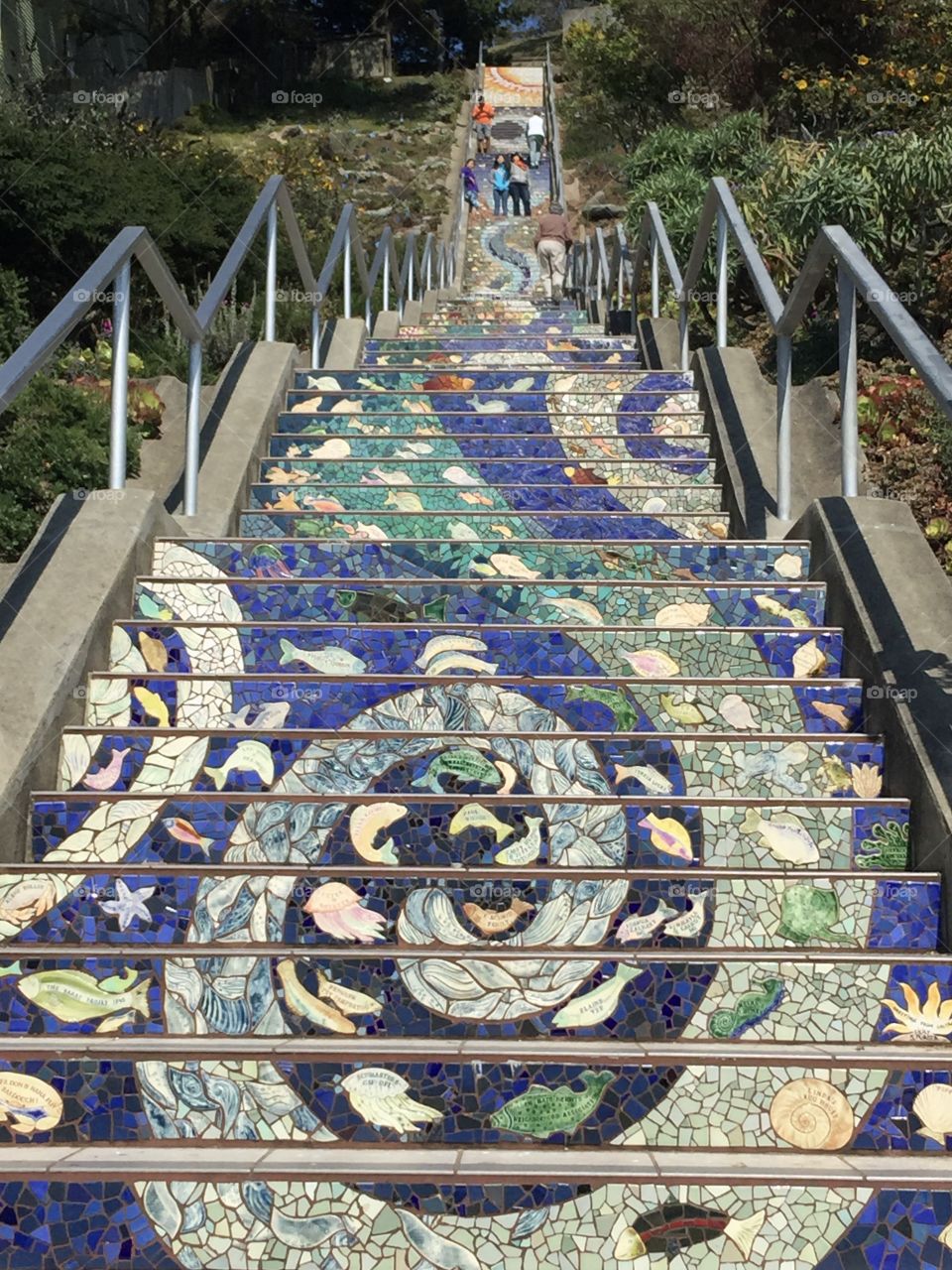 16th avenue and moraga mosaic tile
San Francisco, California 