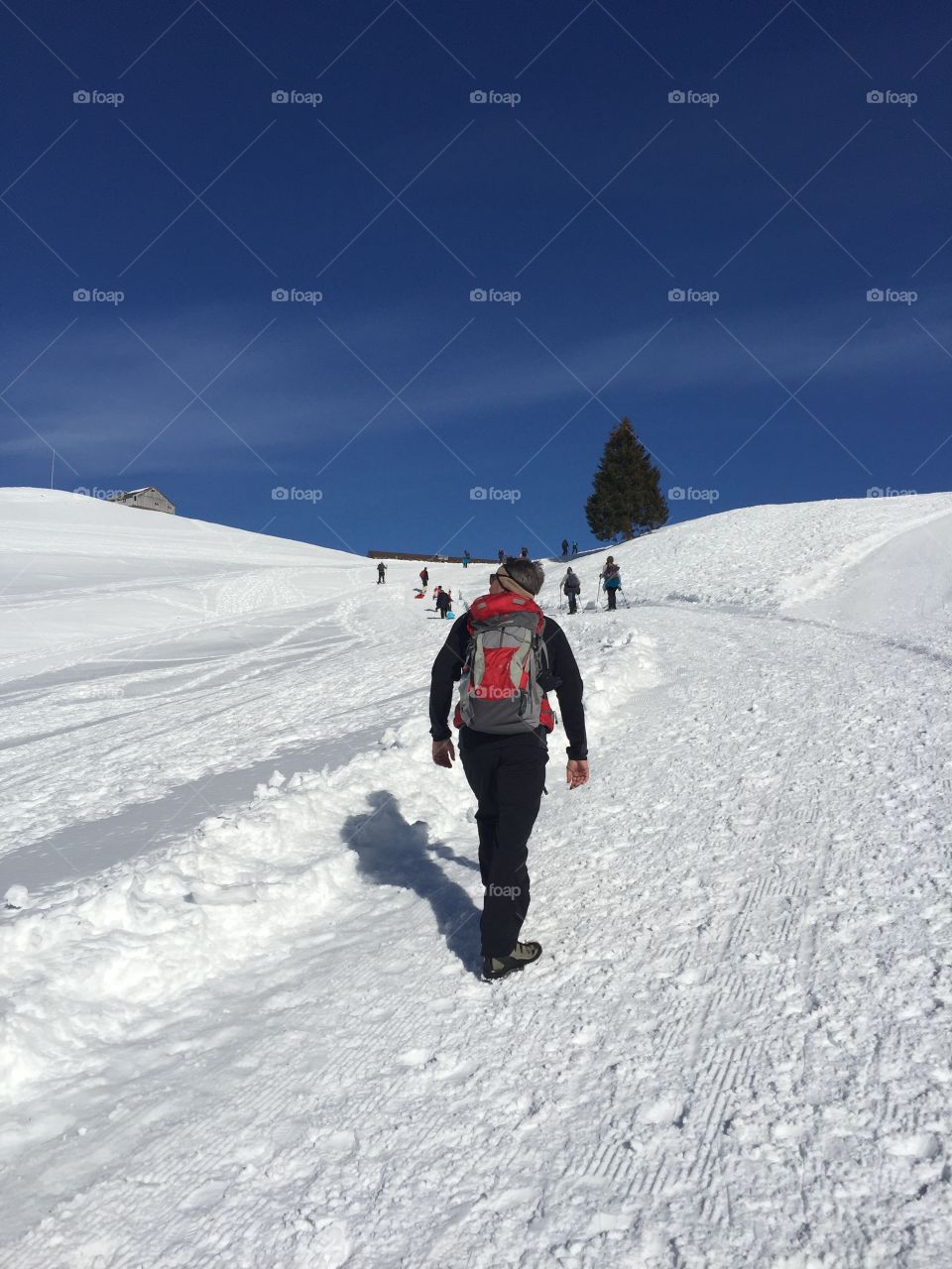 Walking tour on an amazing winter day in the Swiss  Alps