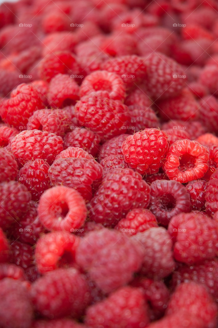 red fruit berries raspberry by bushler14