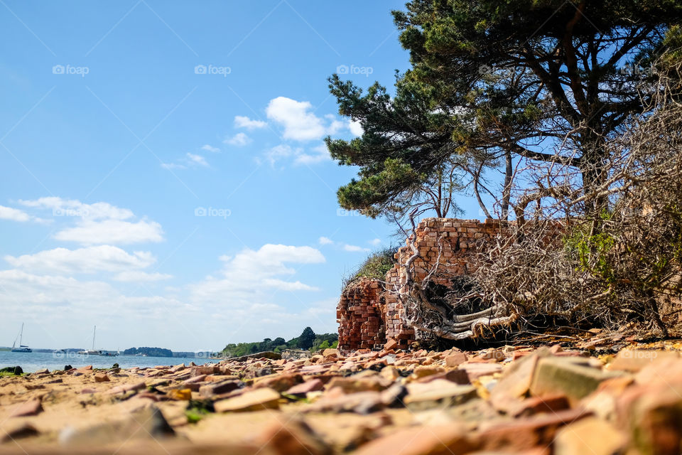 Walking by the beach in Brownsea Island.