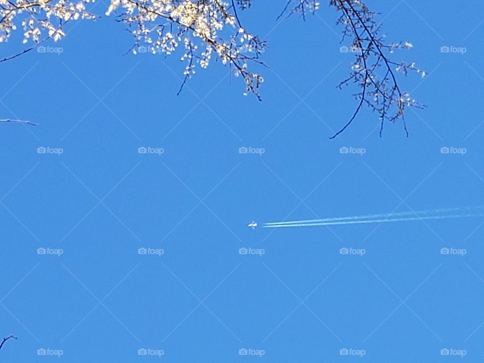 White on bright blue