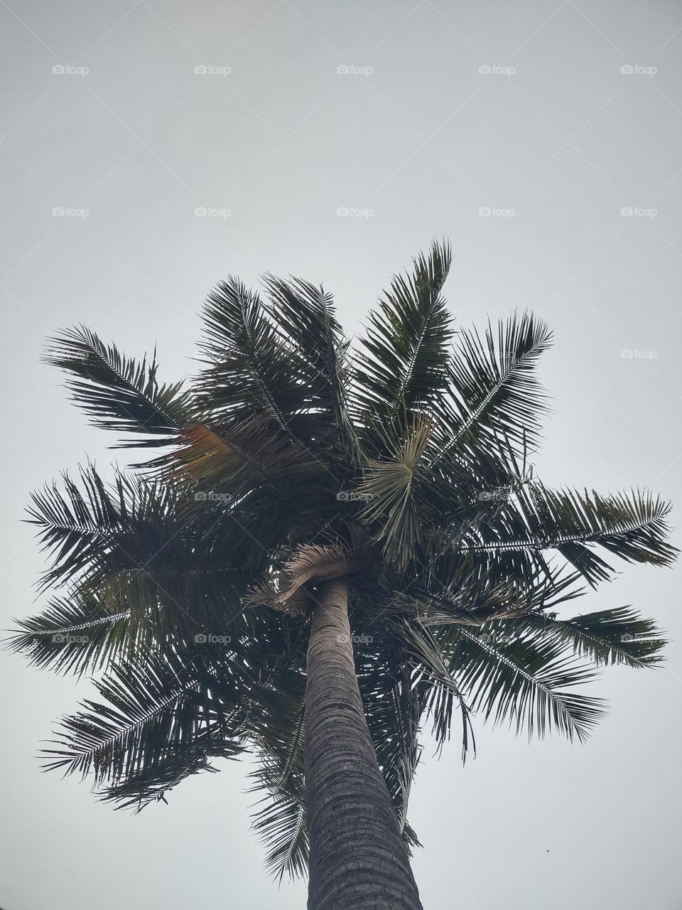 My dad love planting trees, this is older than me 🥰🥰