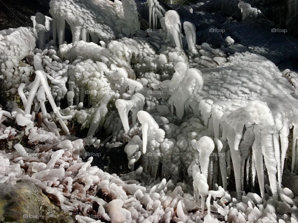 Frozen landscape near Foster Falls in South Cumberland State  Park in Tennessee