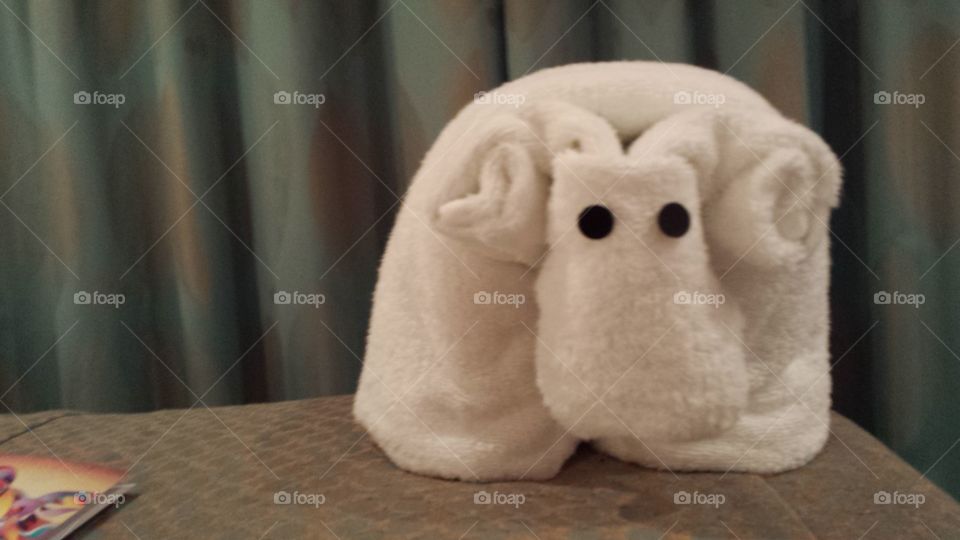 Cruise towel animals