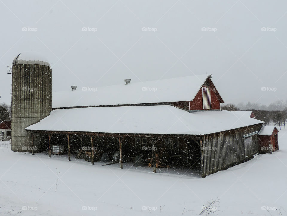 Snowy Farm