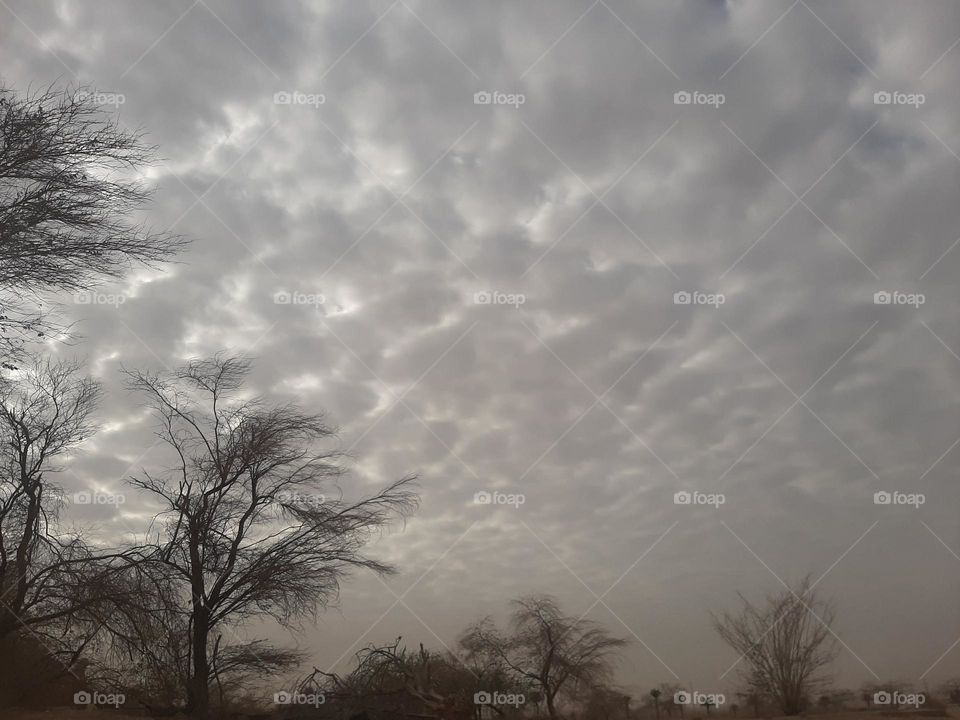 Please make me happy, I am poor, I need your help with support