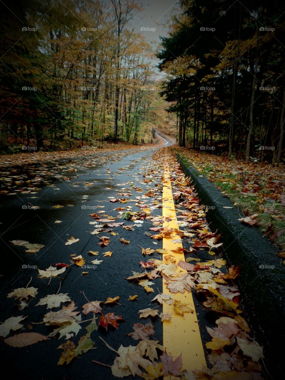 Northern Michigan 