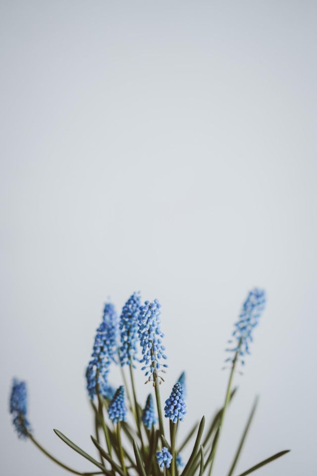 Naturel