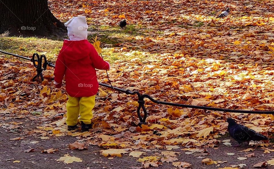 Like autumn 🍁 Childhood 🍁 The park 🍁