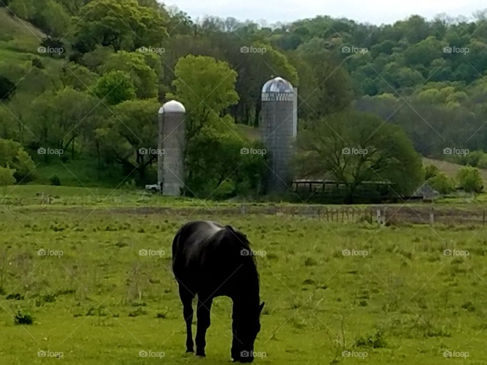 Driving the Back Roads and enjoying everything around us