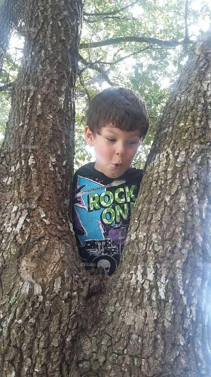 Portrait of a boy behind tree trunk