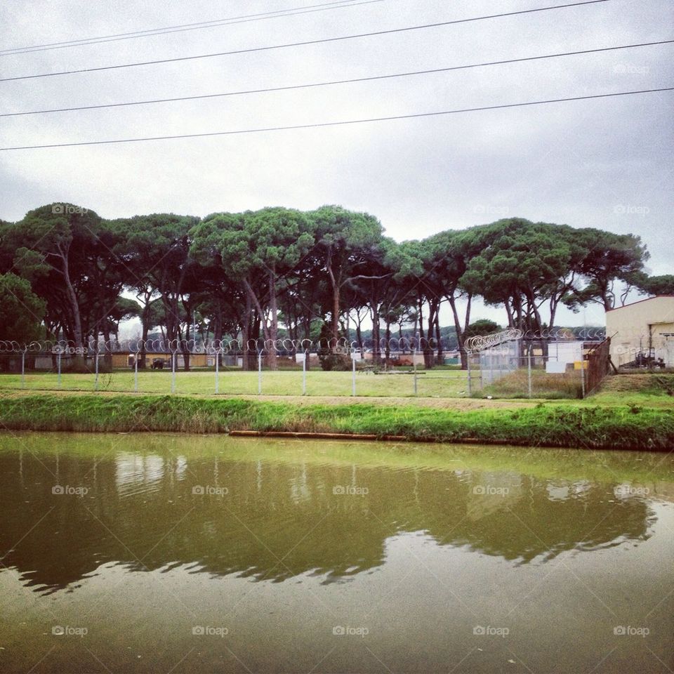 sky water pine reflection by alekime