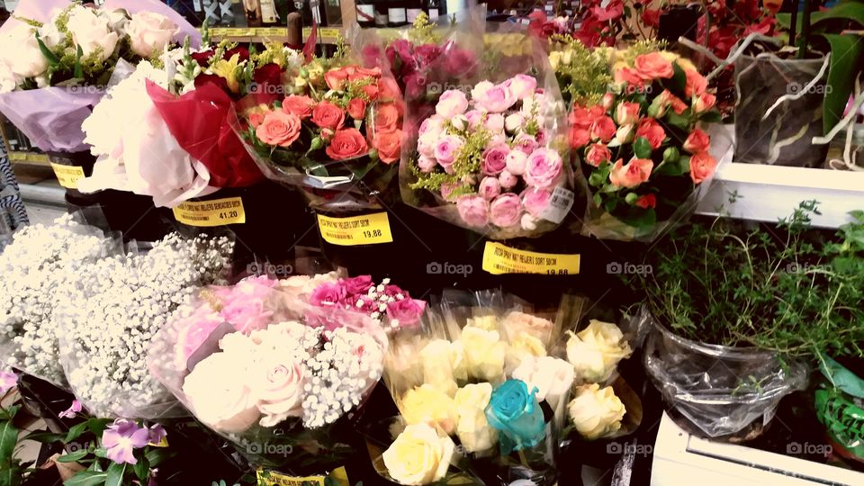 Flores, Flowers, De Fleury, Blumen, Hana.
