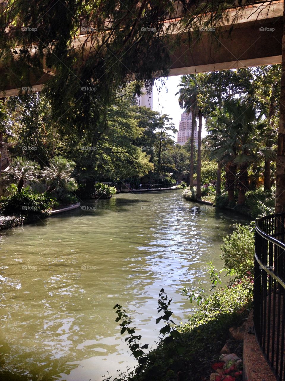 Downtown nature. River walk in San Antonio
