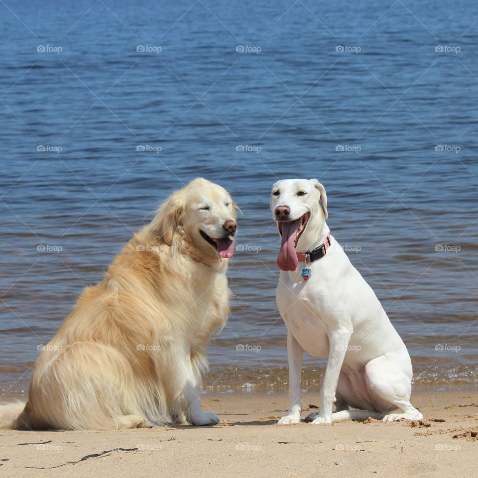 smile and the world smiles with you