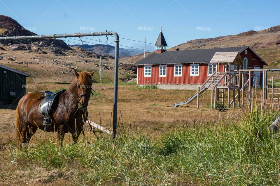 Farm, Fence, No Person, Grass, Barn