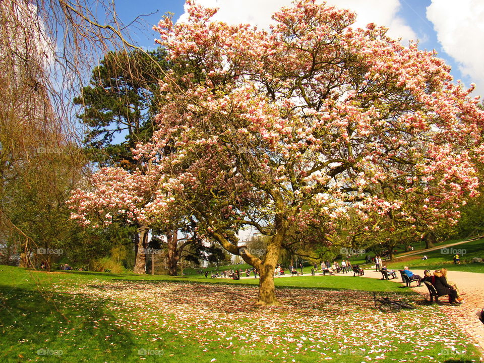 in the park