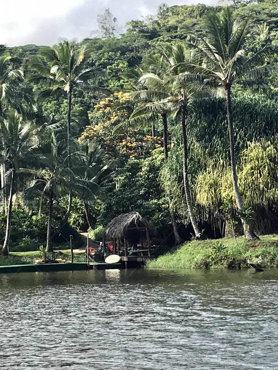 Grass Hut 