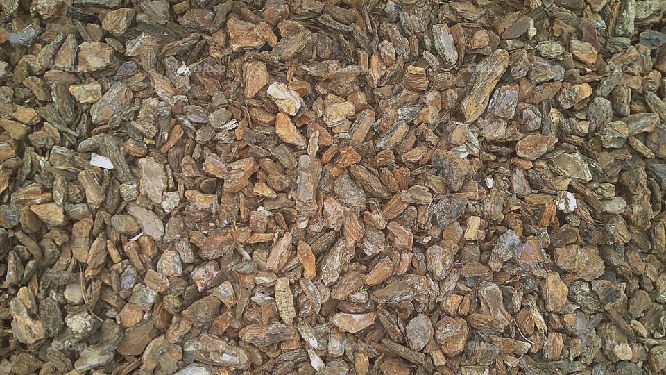 Rock on the ground. Moment from the ground that plants summer flower.