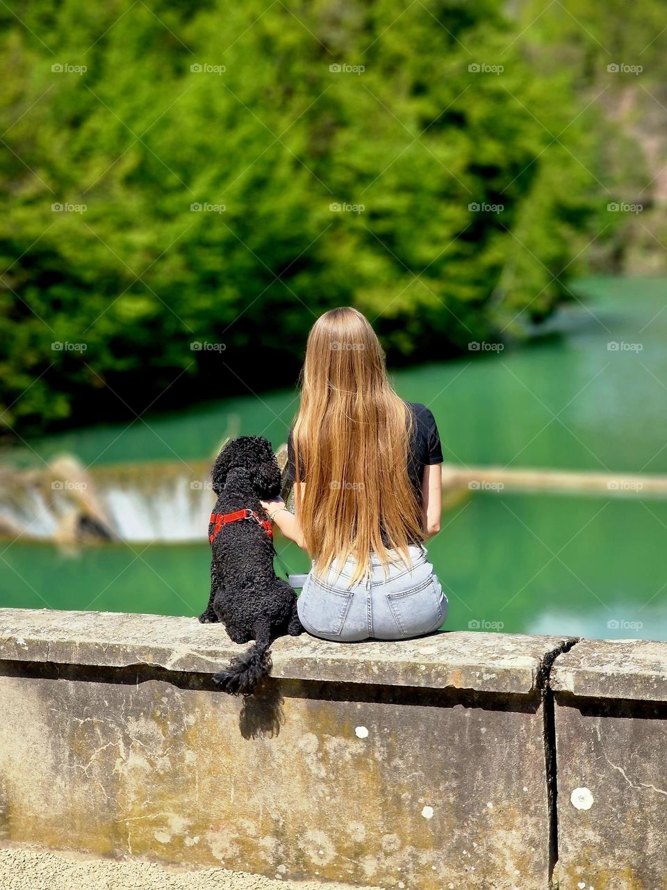 stillness with Bingo dog at Vida lake