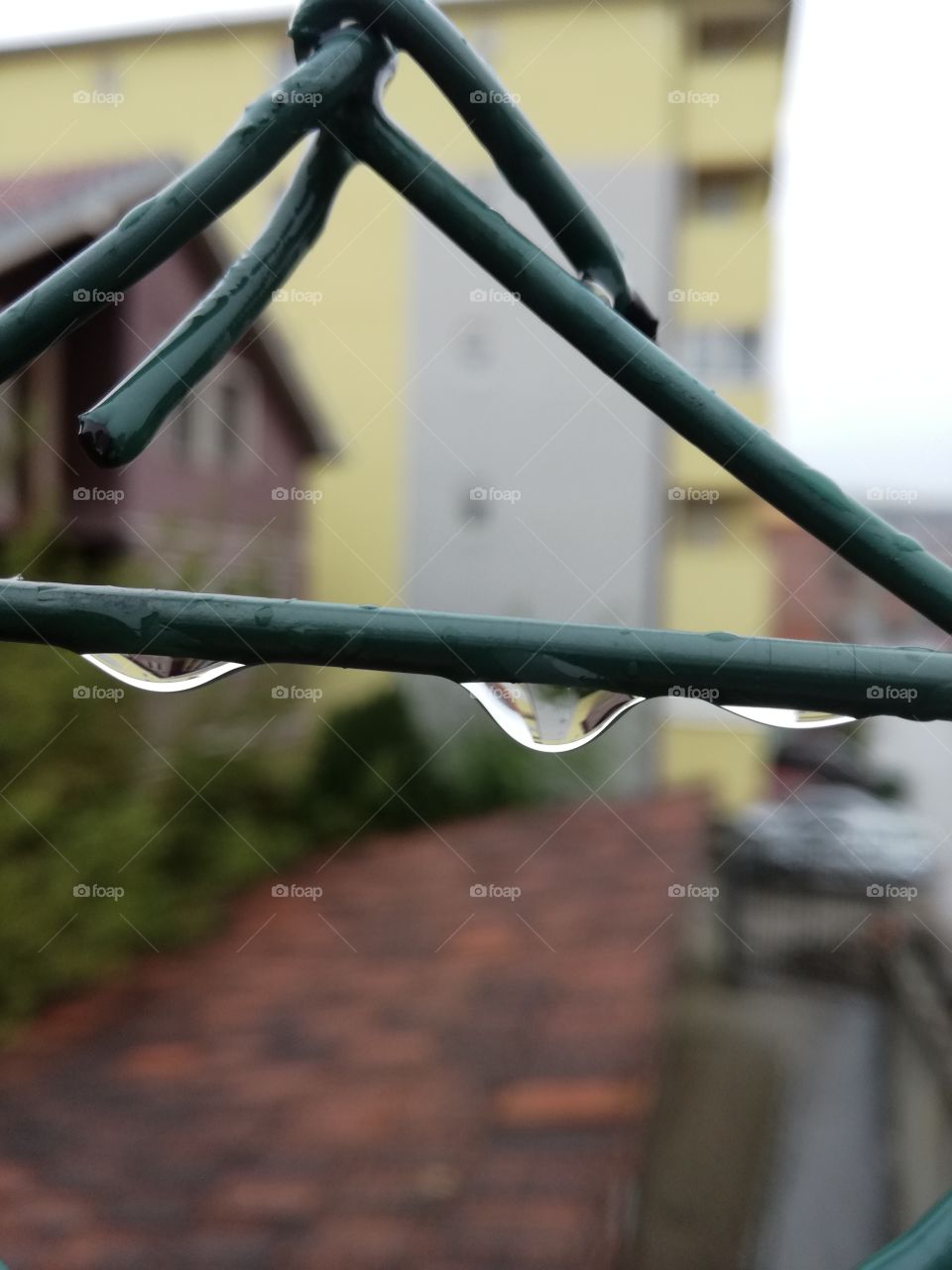 Macro shot of raindrop