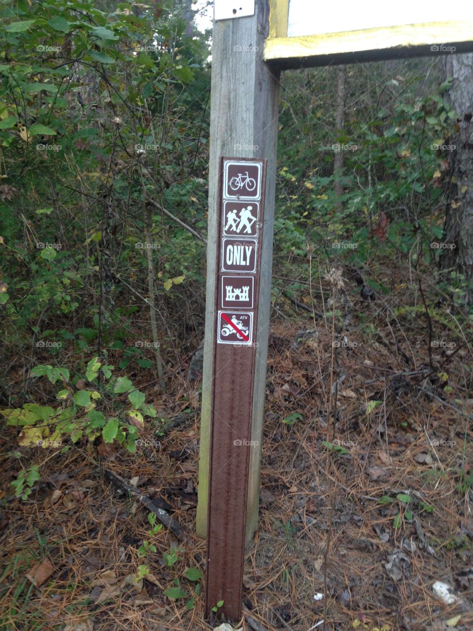 The rules for the hike