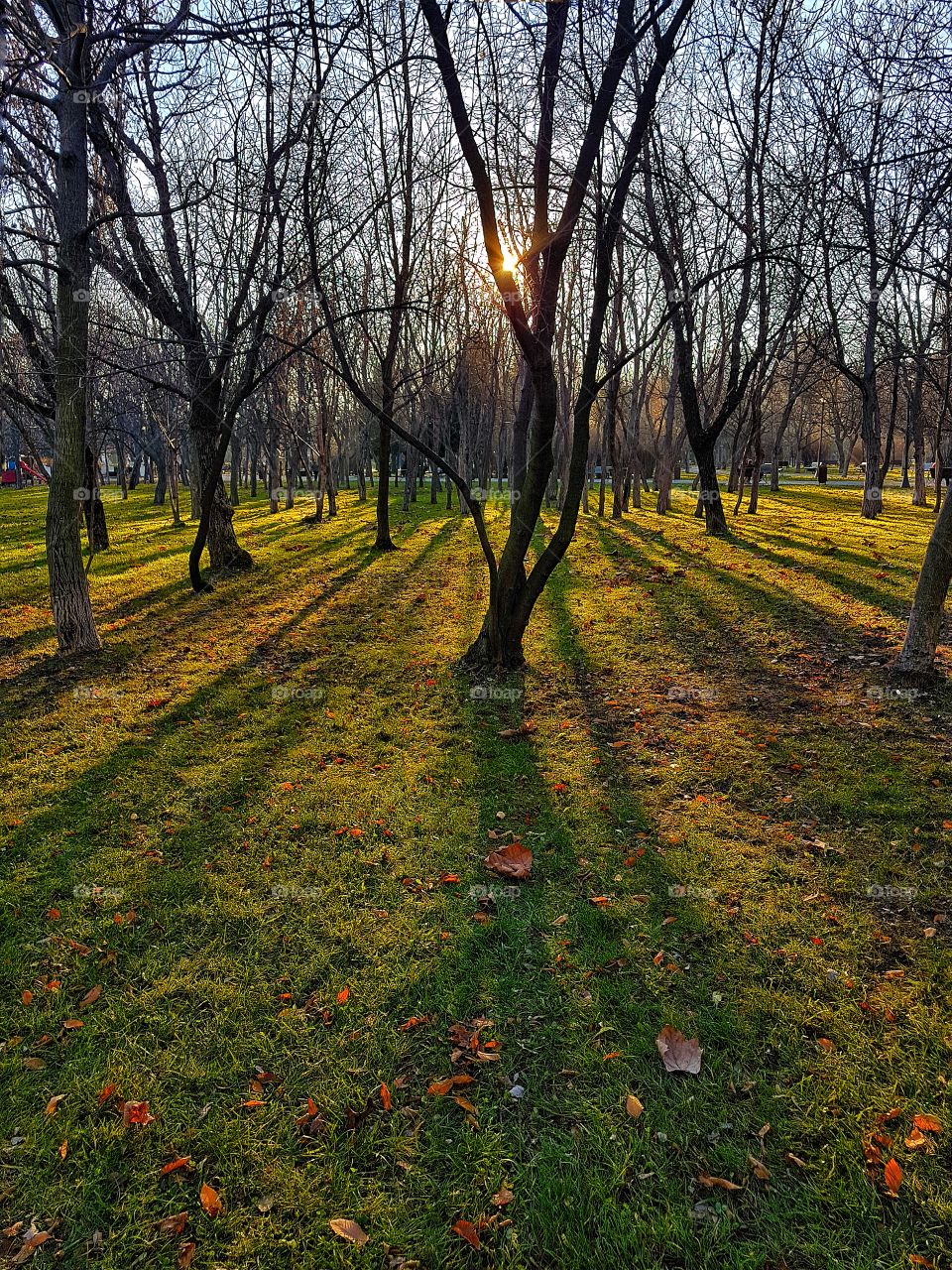 Ending of Autumn, beginning of Winter.