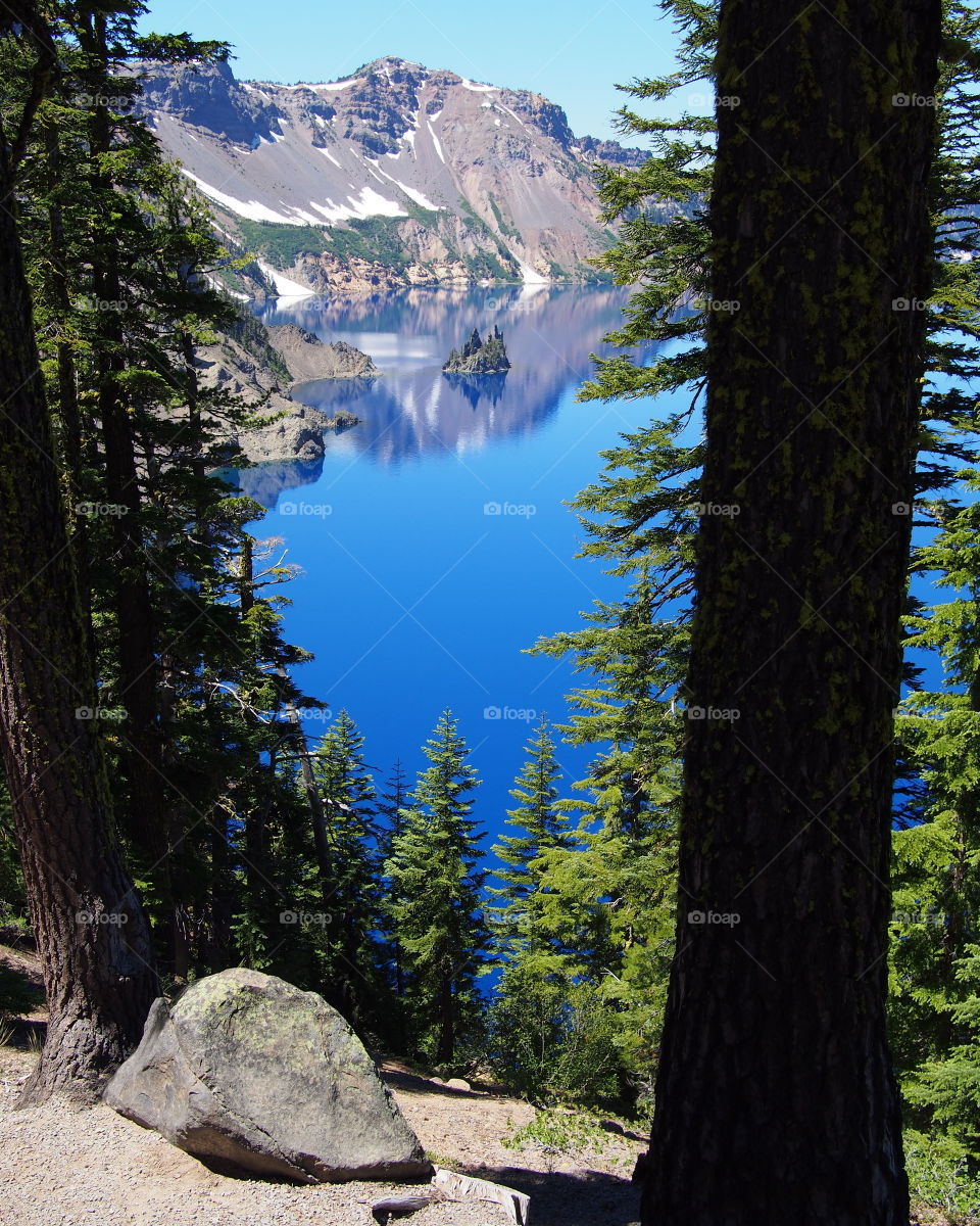 The rugged Phantom Ship seen through beautiful fir trees at Crater Lake National Park in Southern Oregon on a sunny summer morning. 