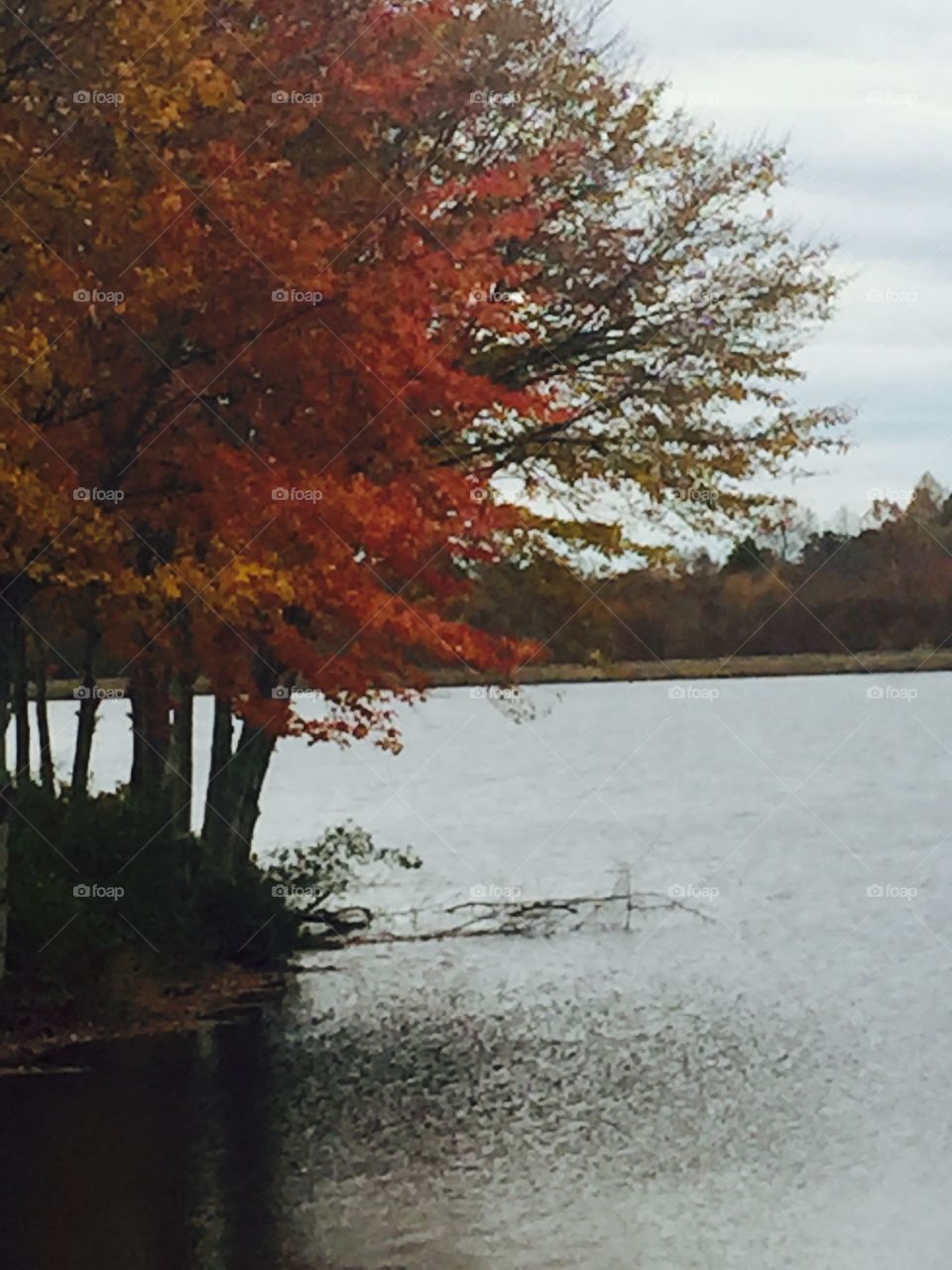 Serene fall lake scene