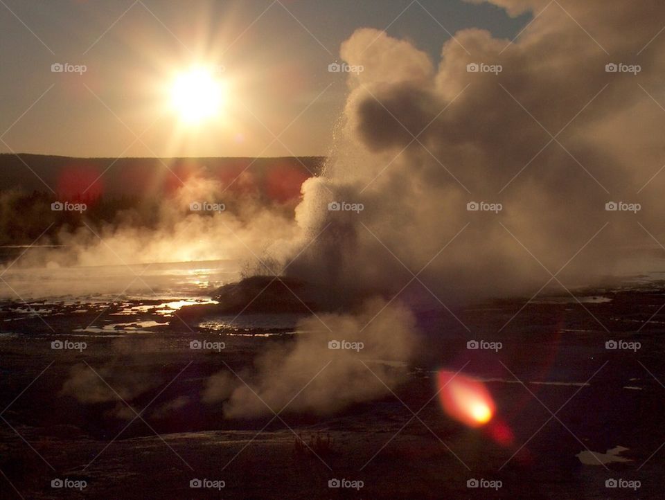 Yellowstone Geyser