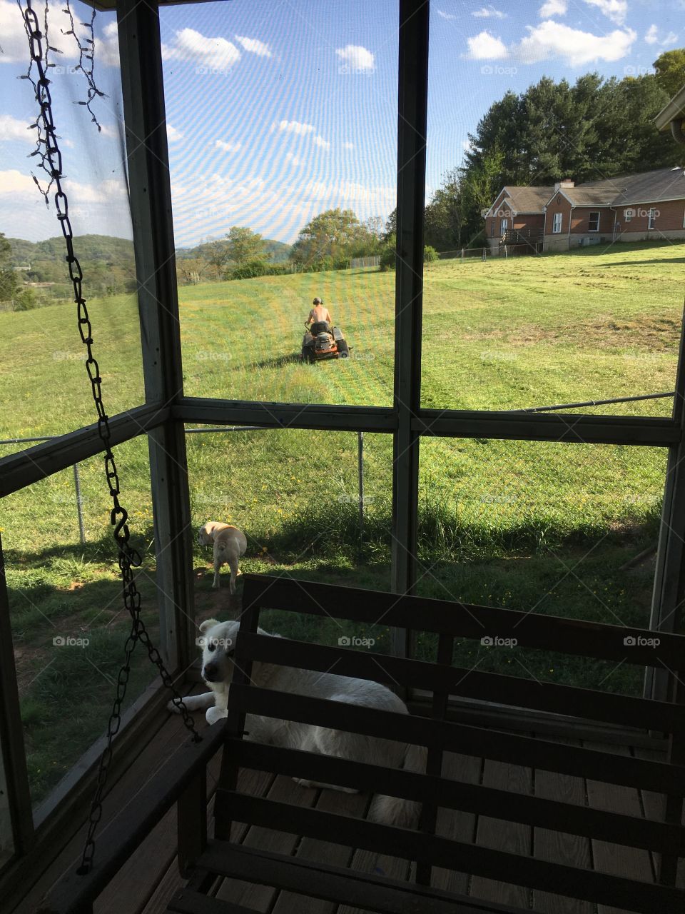 Great day for yard work!