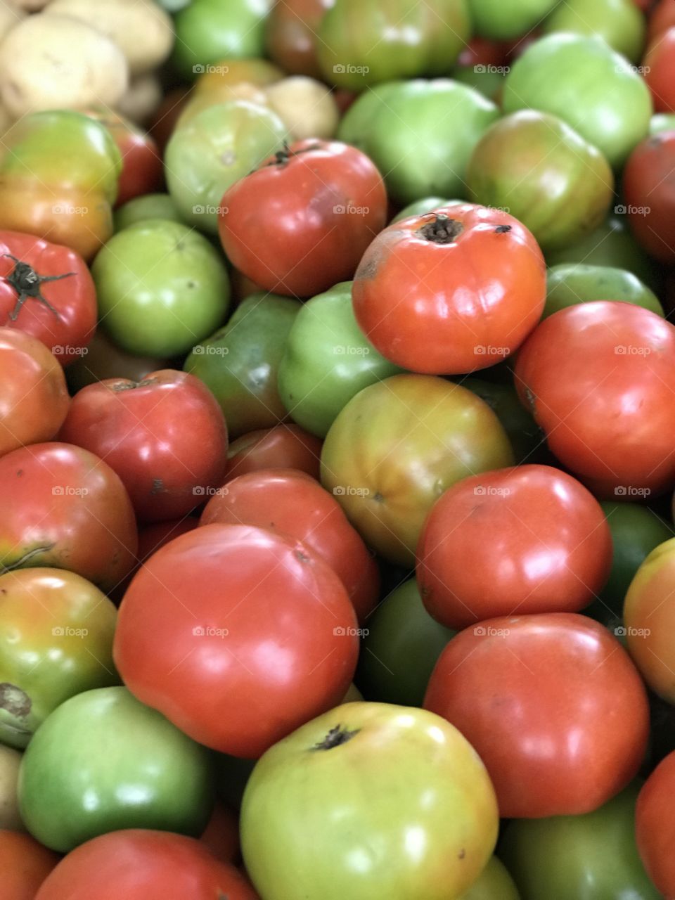 Tomato fruit 
