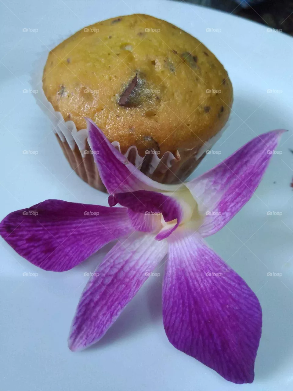 Muffins