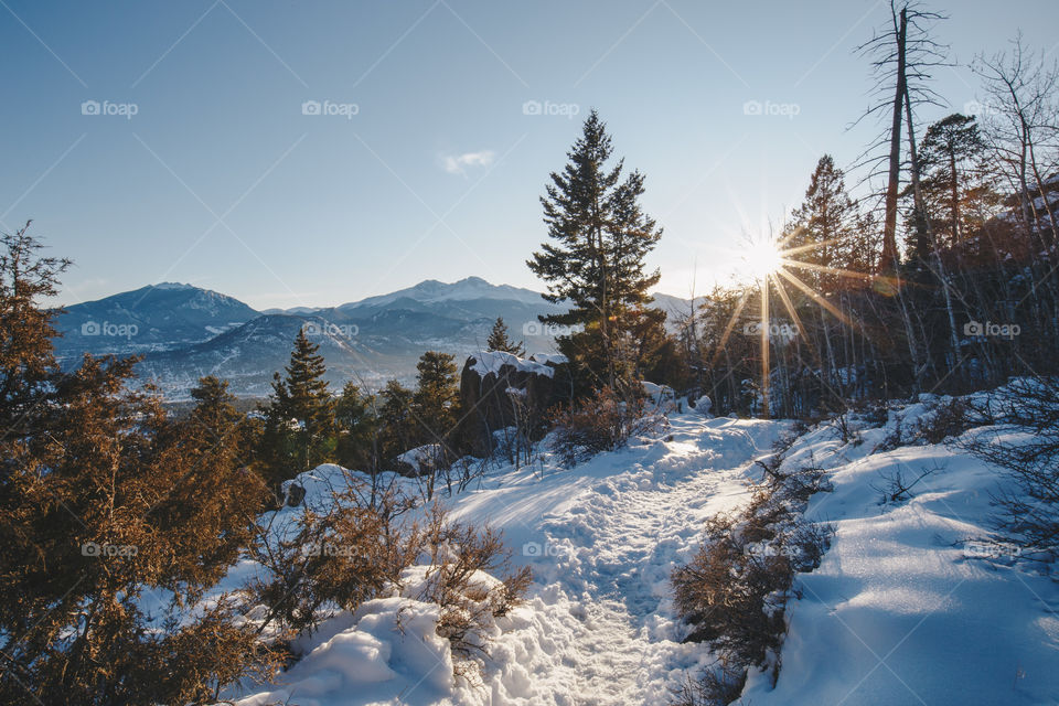 Winter landscape