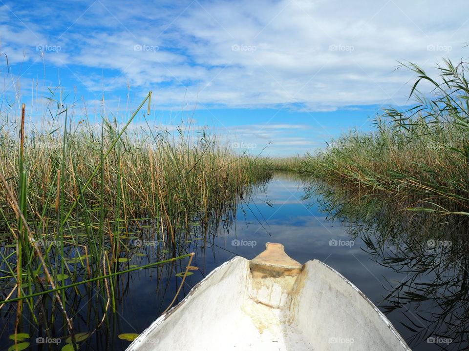 Amongst the reeds in a canoe