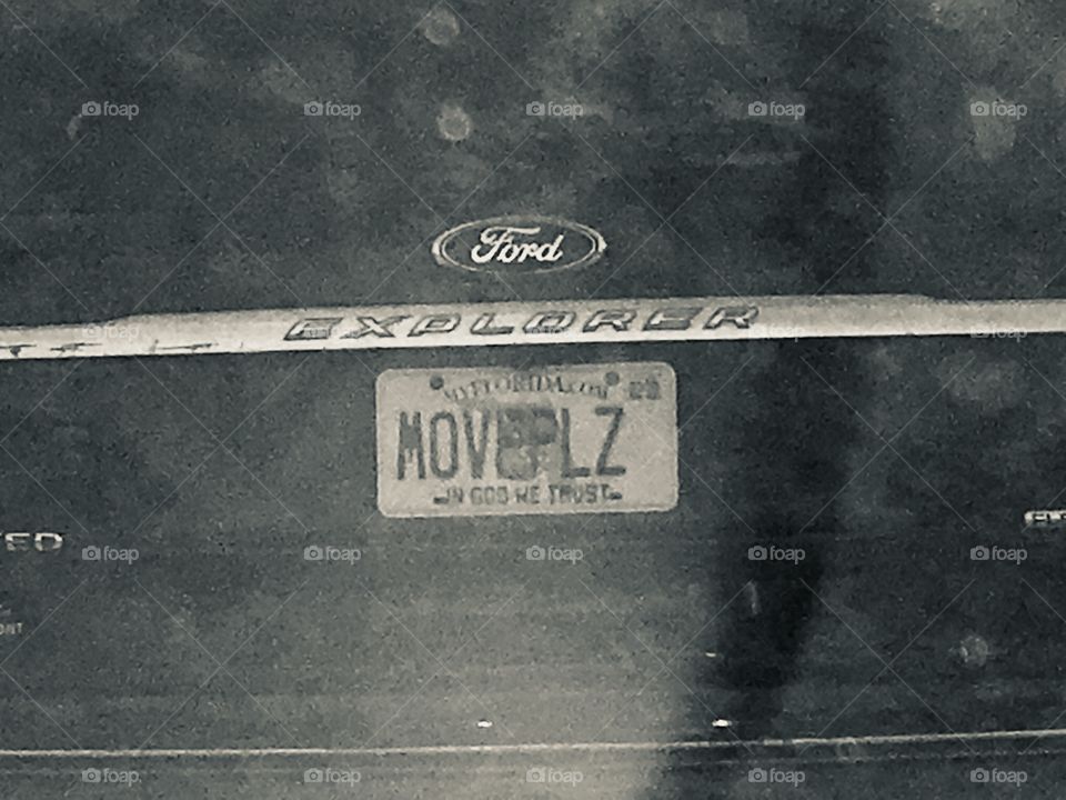 Unique Florida license plate collection MOVEPLZ