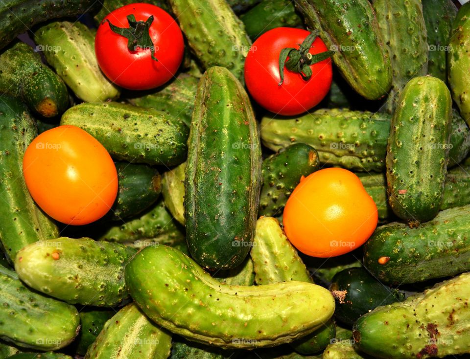 cucumbers and tomatoes art homemade harvest