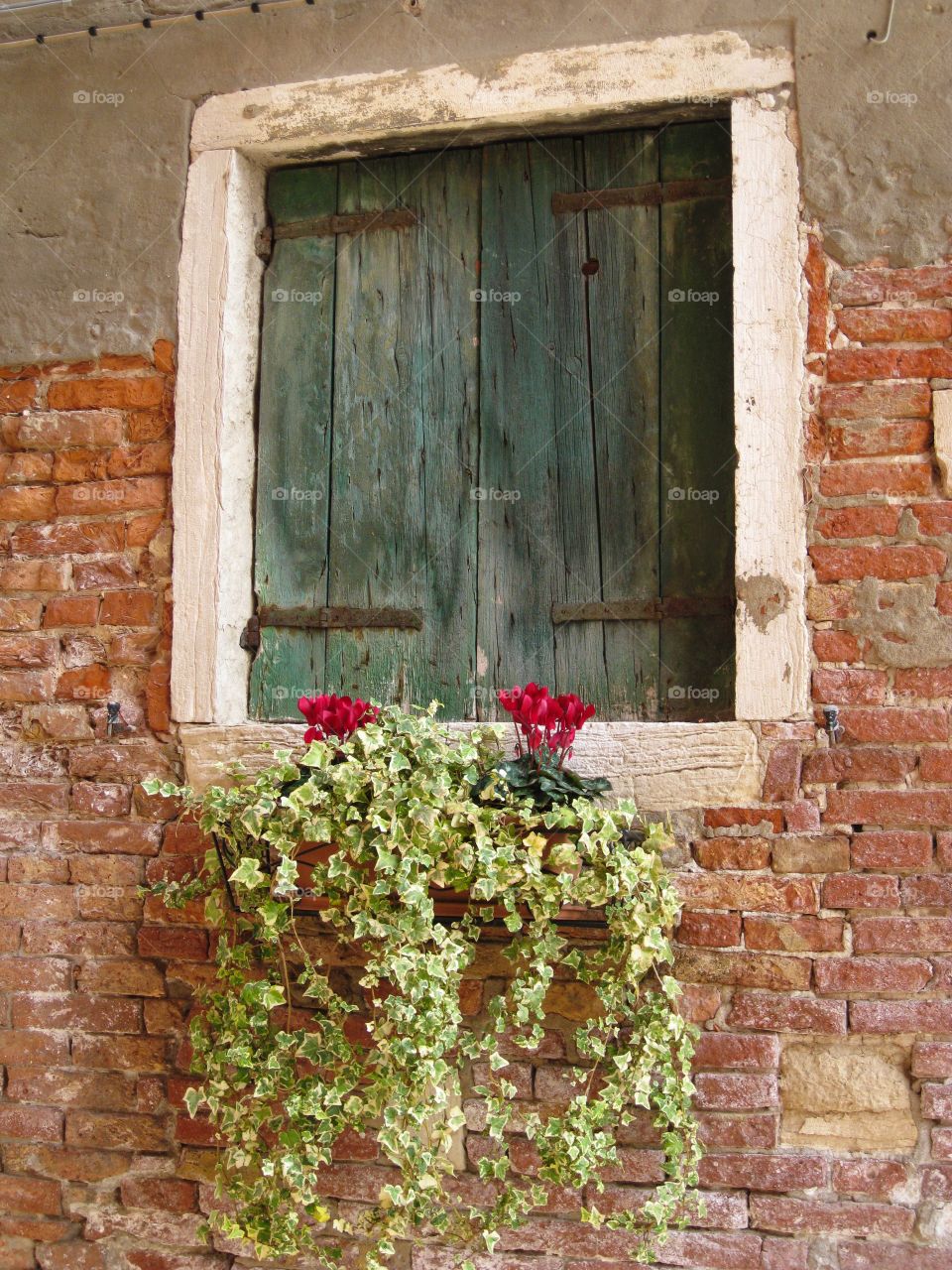 Windows of Italy 5
