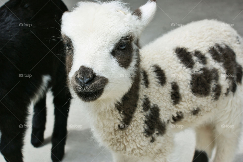 green yellow nature red by somebeach