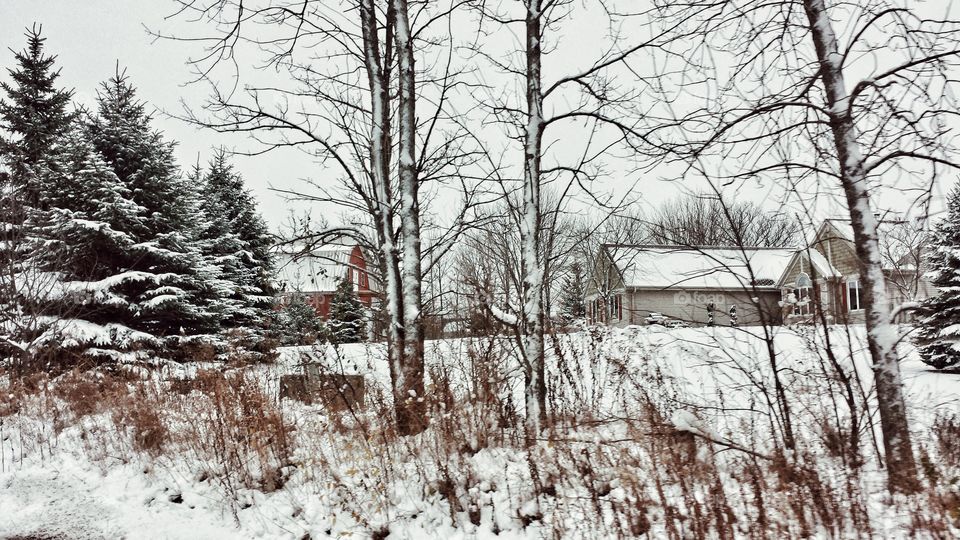 Fresh Snow ~ Red Barn