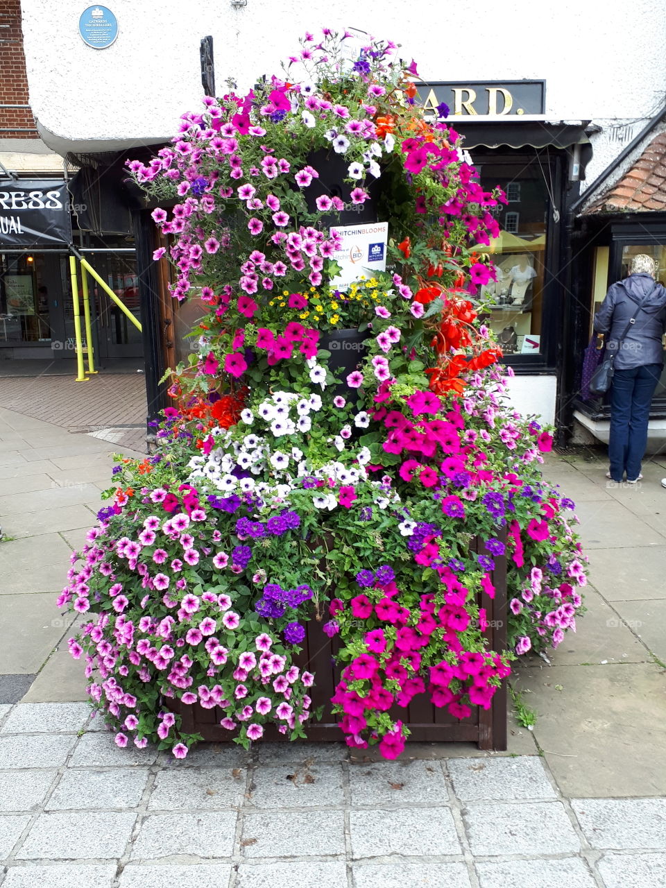 Floral Display