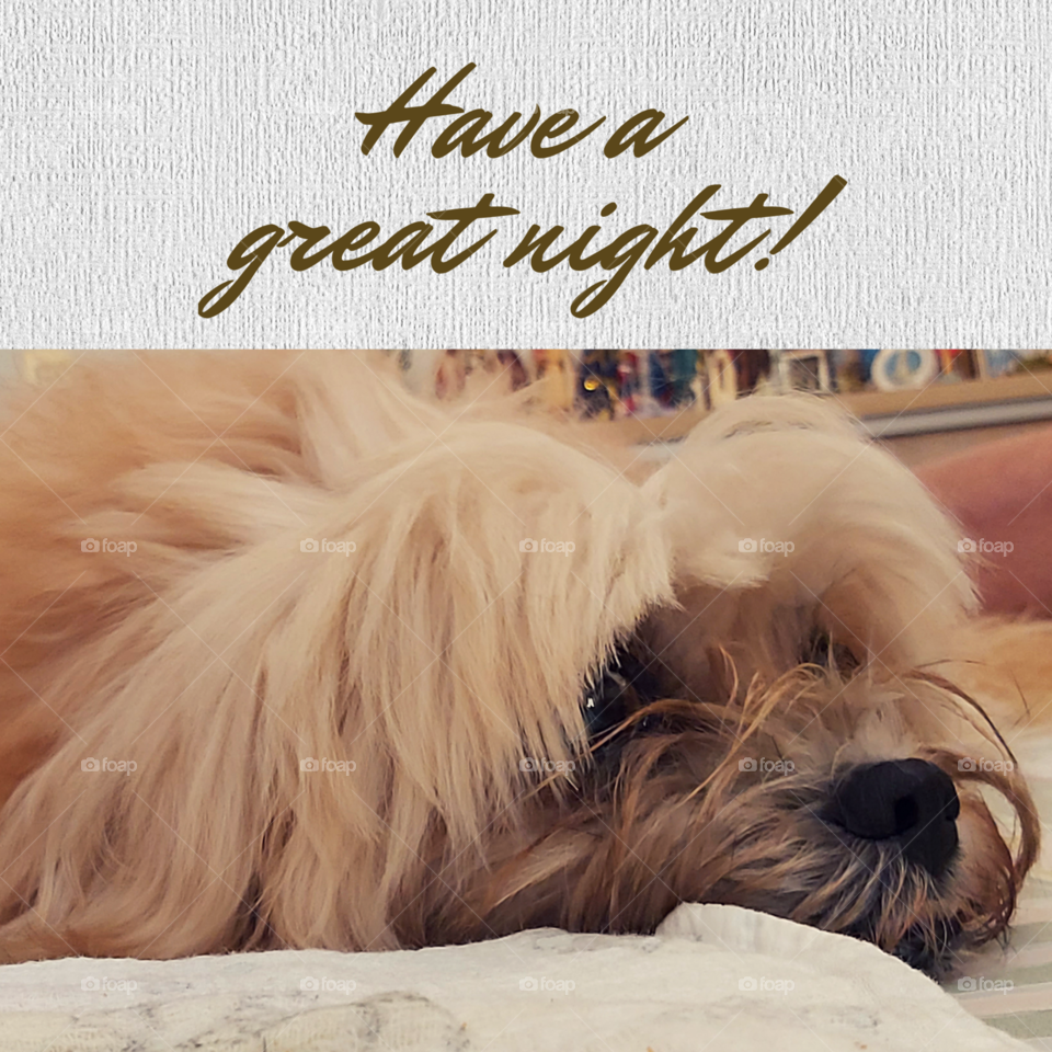 Have a great night!