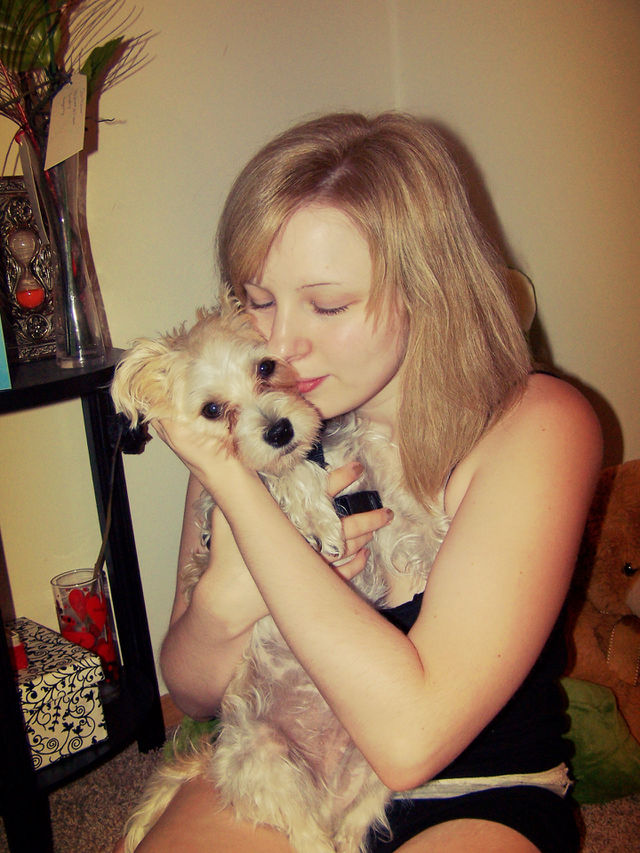sister dog animal mammals by ashley77