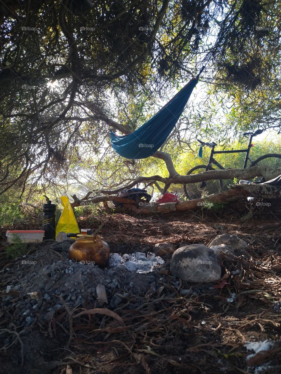 Bike in a picnic