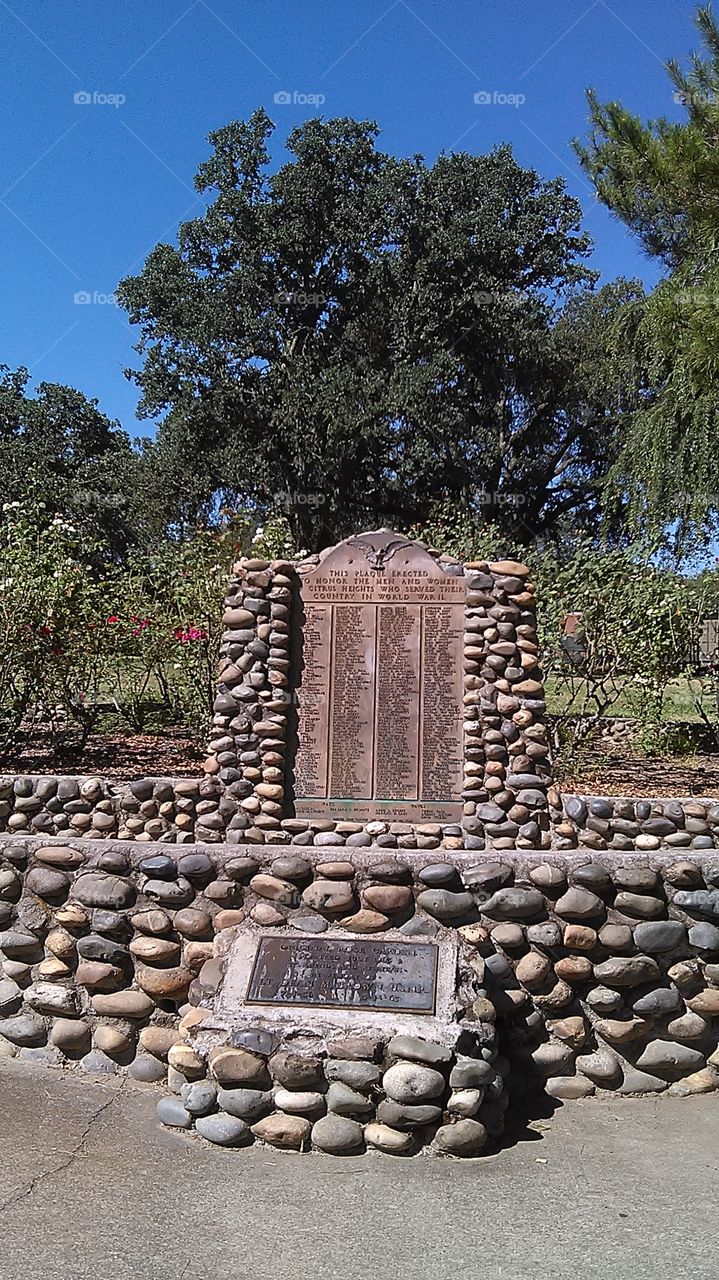 Rose garden. Taking a walk to the park