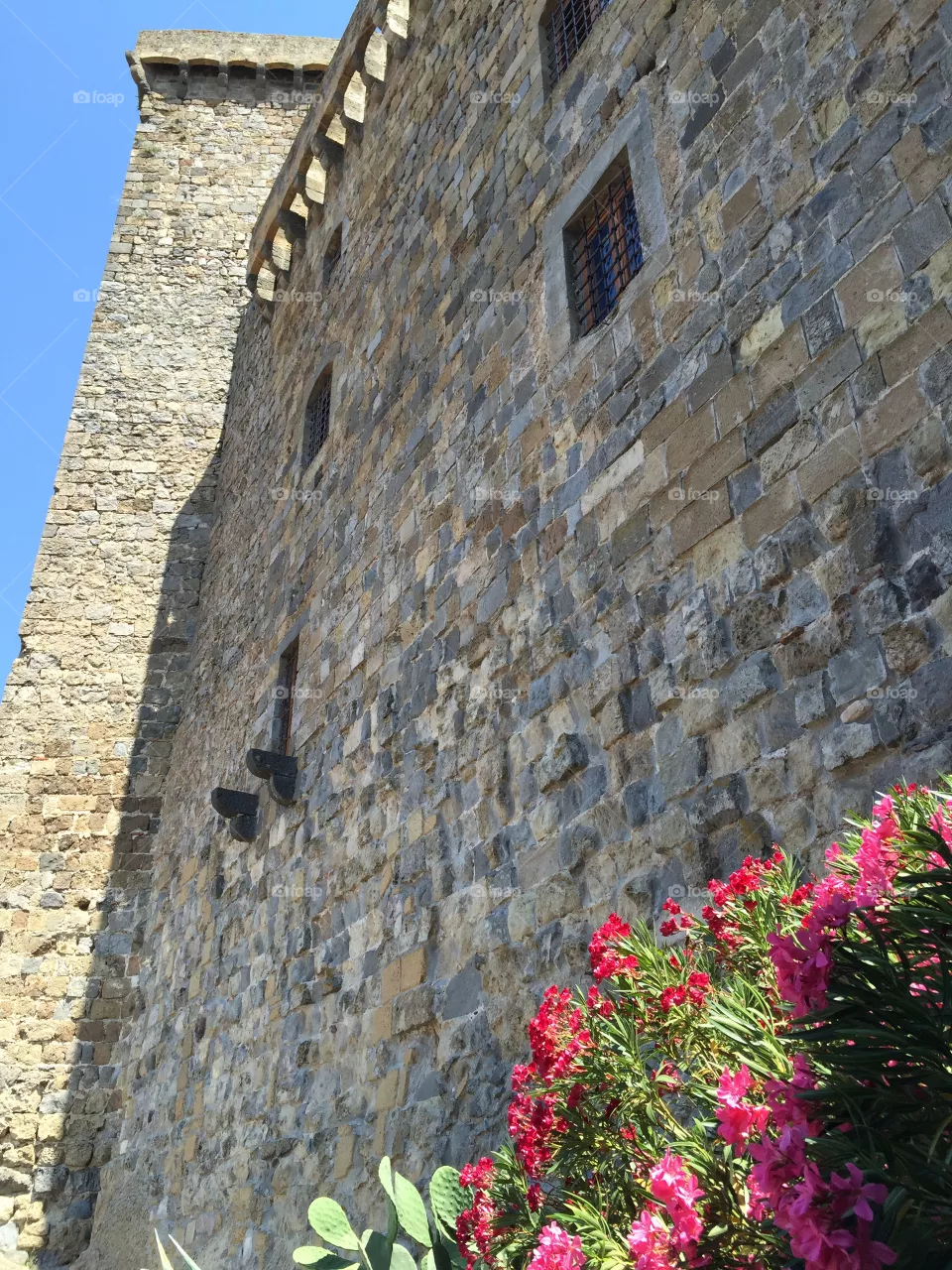 Wall